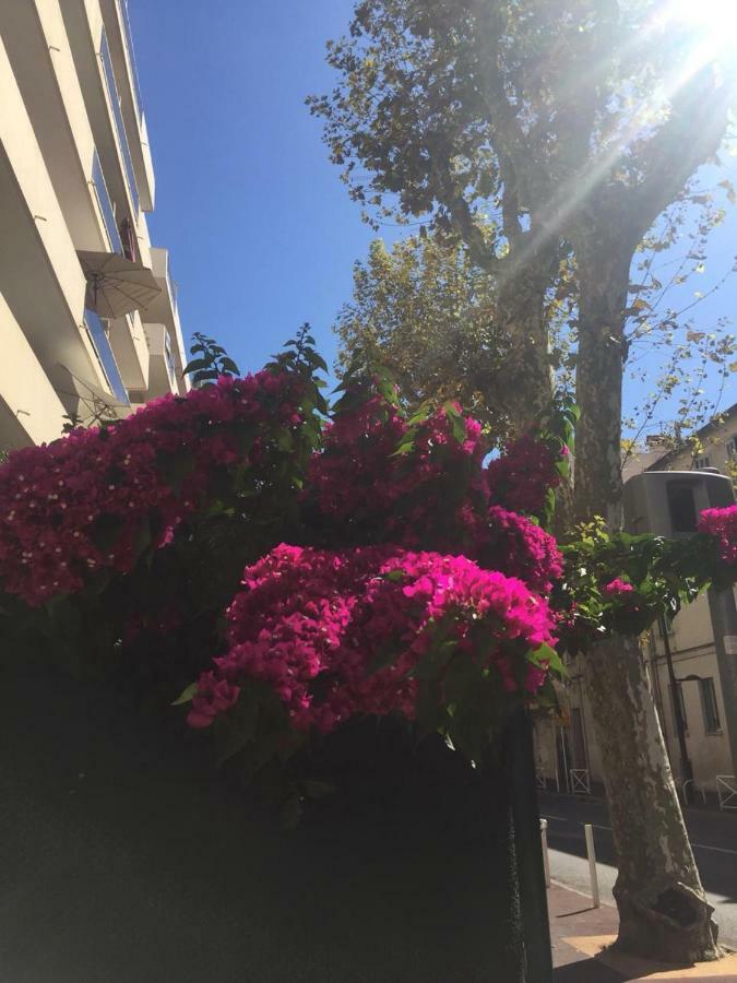 דירות ז'ואן-לה-פינס Jardins Du Pont Du Lys מראה חיצוני תמונה